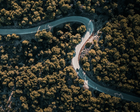 know-your-business road surrounded by nature